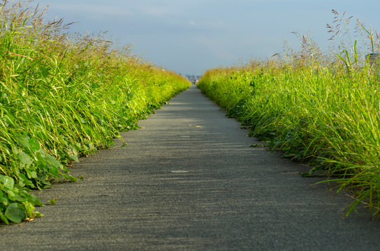猪名川土手 の画像 9 件の Stock 写真 ベクターおよびビデオ Adobe Stock