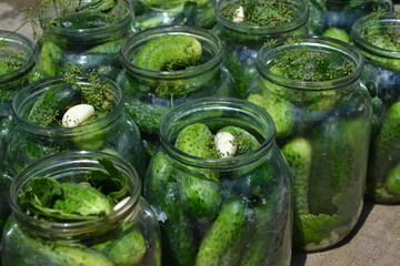 Blanks for the winter. Homemade. Natural. Village. Cucumbers in jars. Pepper. Horizontal