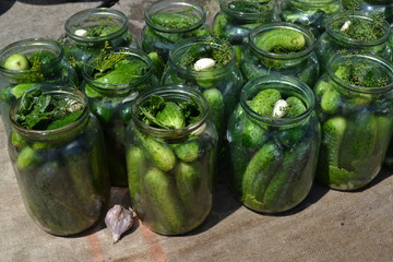 Cucumbers. Homemade food. Natural. Blanks for the winter