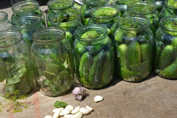 Homemade food. Natural products. Tasty, healthy. Preservation. Blanks for the winter. Marinated. Cucumbers in jars