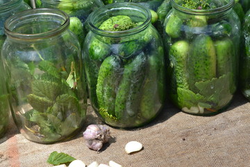 Homemade food. Natural products. Tasty. Blanks for the winter. Marinated. Cucumbers in jars
