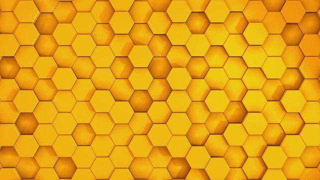 Honey comb. Fragment of plastic honeycomb imitation. Light, minimal, clean, moving hexagonal grid wall with shadows. Abstract background 4K
