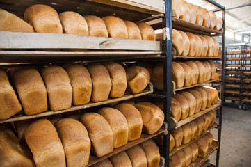 Bakery. Production of bread, rolls, pies and cookies