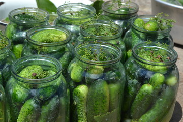 Natural products from the garden. Village, cottage, farm, cellar. Homemade food. Tasty and healthy. Preservation, Spice. Blanks for the winter. Marinated. Cucumbers in jars