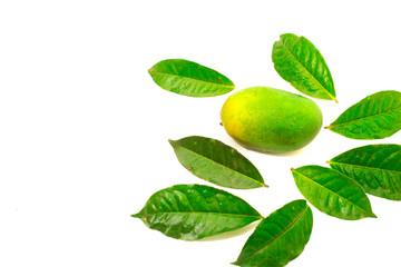 Fototapeta na wymiar mango fruit with green leaves isolated on white background