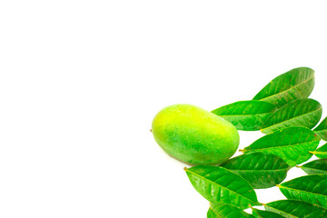 mango fruit with green leaves isolated on white background