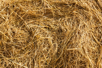 Detalle de rollo de paja en paisaje agrícola
