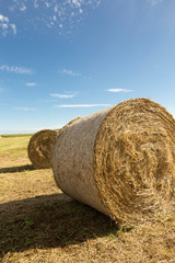 Rollos redondos de paja en paisaje agr&iacute;cola con cielo azul y nubes