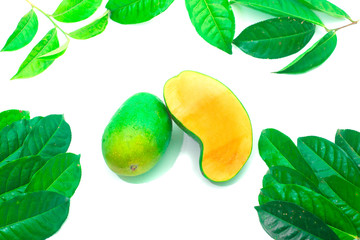 Fresh mango - beautiful chopped fruit with green leaves on white background. Tropical fruit design concept. Copy space .