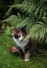 Gl&uuml;cksk&auml;tzchen