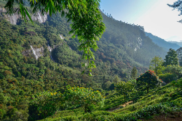 5500 Stufen zum Adams Peak