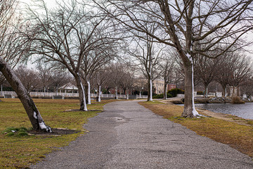 Park Setting Bare Trees Cement Path
