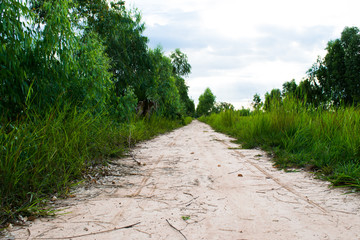 Fototapeta na wymiar landscape of rural road in the daytime