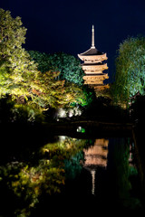 京都の東寺と紅葉の夜景