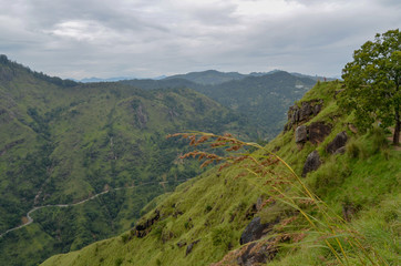 Hochplateau Sri Lanka