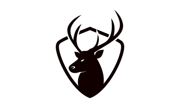 Deer head creative design logo vector. Deer illustration