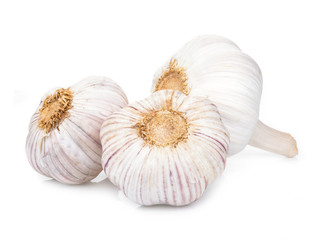 Garlic isolated on white background