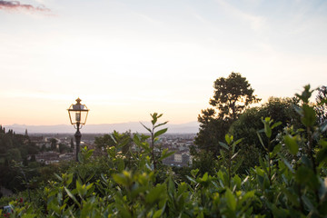 Bushes and a lamp at Piazzale Michelangelo, Florence, Italy, at sunset.