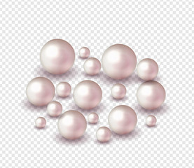 Fototapeta na wymiar Pack nature ,sea pearl background with small and big white pearls . Vector illustration