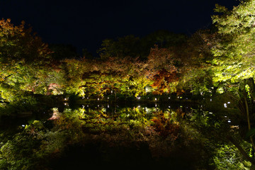 京都の東寺と紅葉の夜景