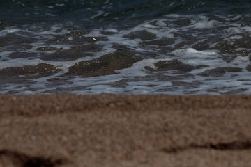 landscape in the coast at summer