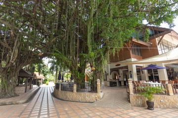 Beautiful hotel with magnificent vegetation