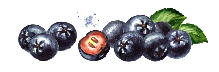 Heap of Aronia berries or black chokeberry with green leaves. Watercolor hand drawn horizontal illustration, isolated on white background