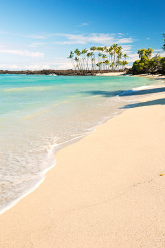 Maiahula Beach in Hawaii, USA with white sand, turquoise water and palm trees