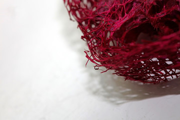 Flower blossom potpourri abstract macro background fifty megapixels prints