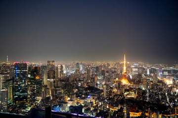 Fototapeta premium Beautiful panoramic view of Tokyo's skyline