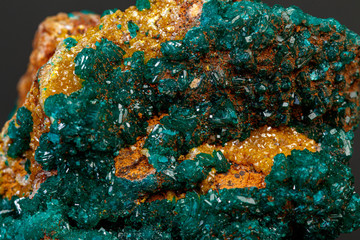 macro mineral stone Dioptase on a gray background