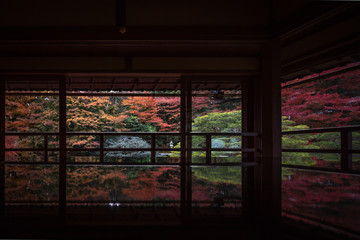 Fototapeta na wymiar 滋賀県 旧竹林院 紅葉