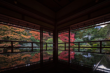 Fototapeta na wymiar 滋賀県 旧竹林院 紅葉