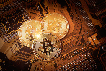 Bitcoin cryptocurrency, virtual money concept