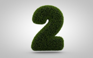 Green grass number 2 isolated on white background