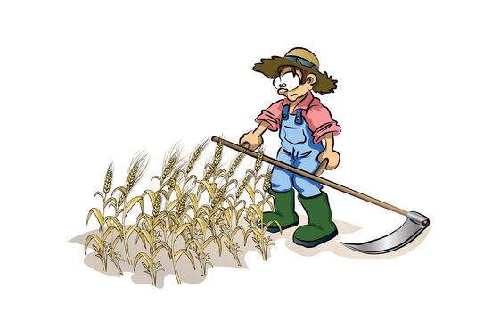 farmer with a Scythe cutting wheat