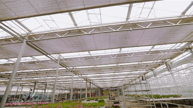 Opening the roof in a large modern greenhouse, the process of opening the roof in a large modern greenhouse