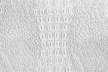 White crocodile leather texture. Abstract background for design with copy space for a text.