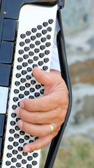 Hand of muscian on an acordian.