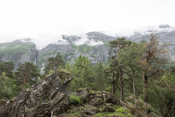 Wald und Berge bei Andalsnes, Norwegische Landschaften