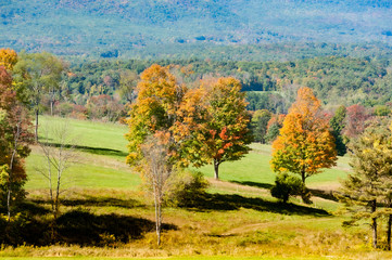 Fall foliage in Berkshire Hills, Massachusetts 