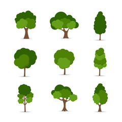 Green tree Fertile A variety of forms on the White Background,Set of various tree sets,Trees for decorating gardens and home designs.vector illustration and icon