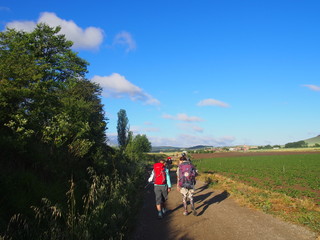 Obraz premium Pilgrims with beautiful landscape on the road to Santiago de Compostela, Camino de Santiago, Way of St. James, Journey from Granon to Tosantos, French way, Spain