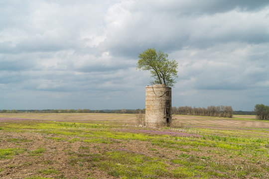 grain tree silo