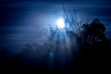 Night landscape and moonlight