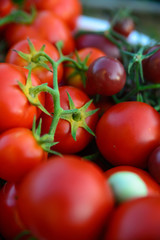tomato, food, red, vegetable, tomatoes, fresh, ripe, isolated, healthy, white, green, fruit, vegetables, organic, vegetarian