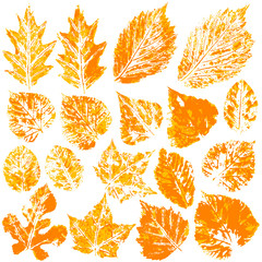 Шаблон_квадр