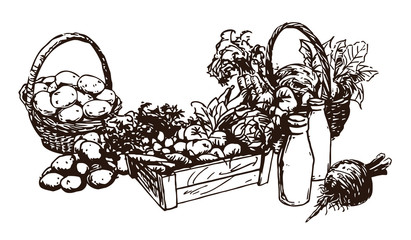 farm products - food, set of hand-drawn illustrations (vector)	