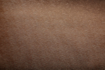 Brown skin texture close up as background. In full screen.