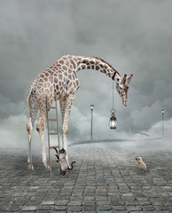 Find a friend – Surreal conceptual illustration of a giraffe meeting a baby chicken - obrazy, fototapety, plakaty